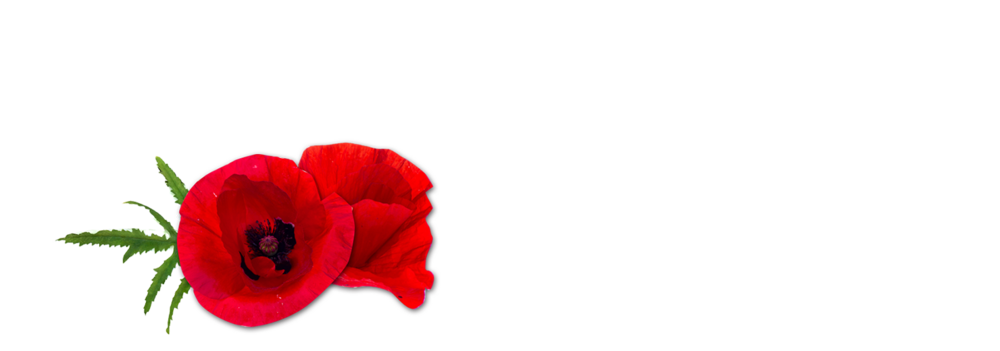 Mohn Tiroler Rinder Wurzen Handl Tyrol