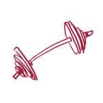 Fornitore di proteine