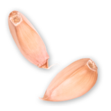 1 Knoblauch einzeln Handl Tyrol