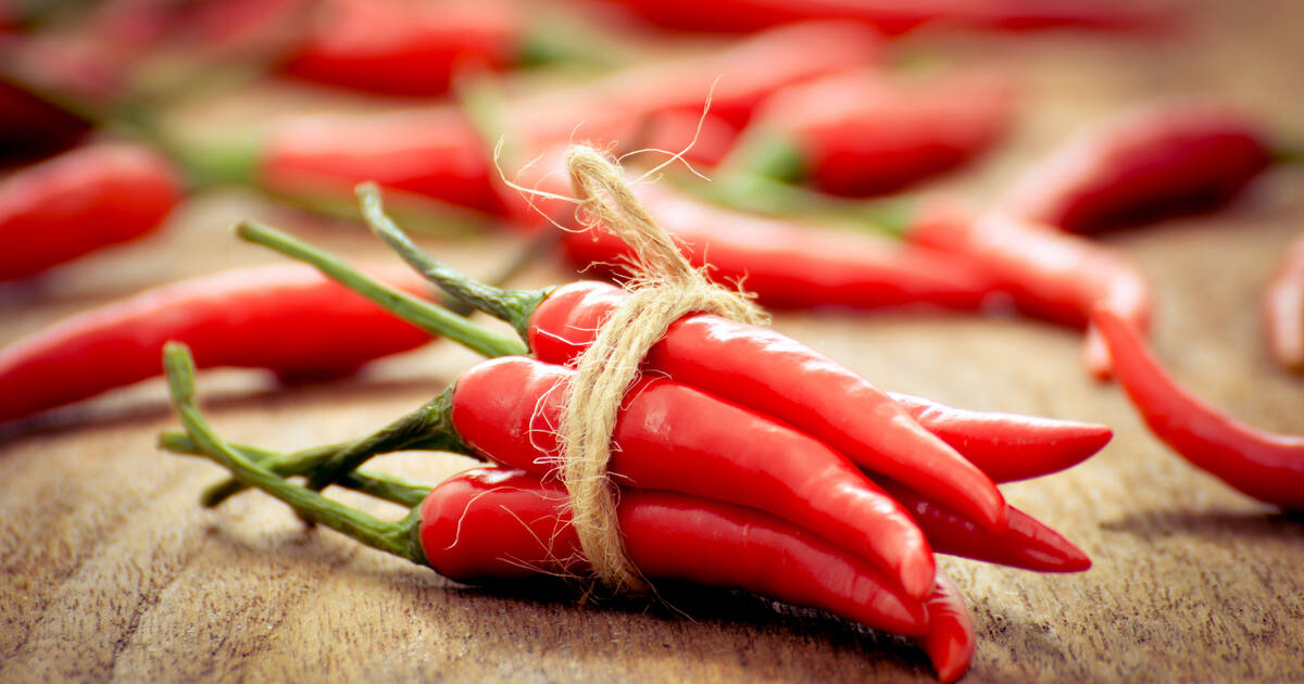 Peperoncino HANDL TYROL