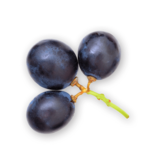 traubenrot Handl Tyrol