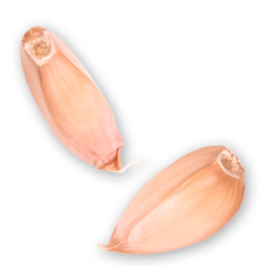 1 Knoblauch einzeln Handl Tyrol