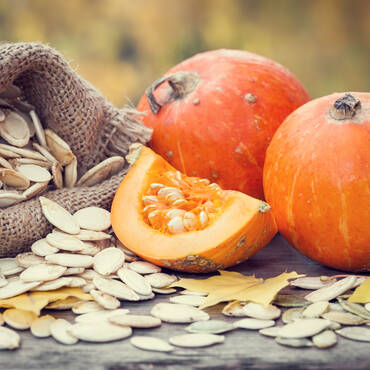 Zucca con semi Handl Tyrol